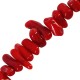 Copeaux Irréguliers de Bambou Corail (~6-13 mm (~110 Pièces) Ø~0.3 mm