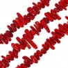 Corallo scuro