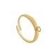 Anillo de Acero Inoxidable 304 con Aro 21x3.7mm