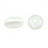 Pearlised White