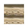 Metallic Gold Antique