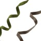 Polyester Ribbon (~10mm (~5mtrs)