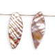 Shell Leaf 16x48mm 13pcs