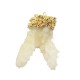 Colgante de Resina Coral (~ 29x40mm)