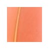 Light Orange