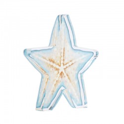 Plexi Acrylic Deco Starfish 90x85mm