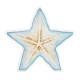 Plexi Acrylic Deco Starfish 90x85mm
