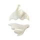 Shell Charm Whale Tail 25x20mm