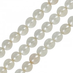 Pearlin on Natural Shell Bead Round 6mm (~67pcs)