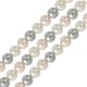 Pearlin on Natural Shell Bead Round 4mm