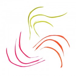 Fabric Leaf/ Feather Various Sizes 19-25mm