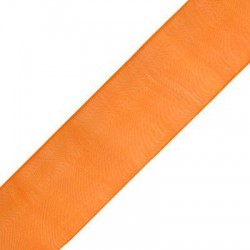 Ruban en Organza 15 mm