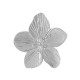 Boucles d'Oreilles Fleur en Acier Inoxydable 304 50x51.3mm