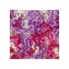 Rose Multi
