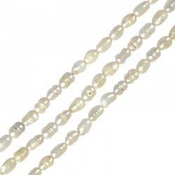 Fresh Water Pearl Bead (~3-4mm) (Ø~0.6mm) (~63pcs)