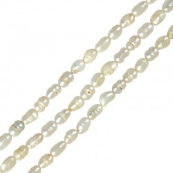 Fresh Water Pearl Bead (~3-4mm Ø~0.6mm (~63pcs)