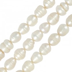 Fresh Water Pearl Bead (~10-11mm Ø~0.6mm (~33pcs)