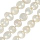 Fresh Water Pearl Bead (7-8mm) (Ø~0.7mm) (~48pcs)