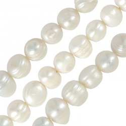 Fresh Water Pearl Bead (10-11mm Ø~0.6mm (~36pcs)