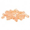 Saumon Transparent