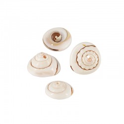 Shell Bead Round Washer (~12mm) (Ø~1.6mm) (~62pcs)