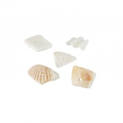 Shell Irregular Bead Chips (~10mm Ø~1.3mm (~175pcs)