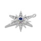 Brass Charm Star with Zircon 12x18mm