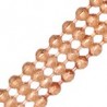 Oro Rosa 24K