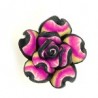 Fuchsia/Yellow