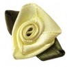 Yellow/Green