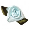 Light Blue/Green