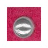 Fuchsia / Silver