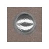 Grey / Silver