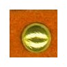 Orange / Gold
