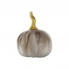 Or/Beige