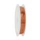 Filo di Rame 0.3mm (~70mtr/bobina)