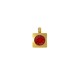 Breloque Carrée en Acier Inoxydable 316 avec Cristal Rouge 6 mm