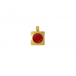 Stainless Steel 316 Charm Square w/ Red Crystal 6mm
