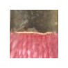 Gold/ Light Pink