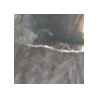 Rhodium/ Grey