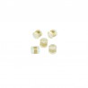Gold/ Transparent