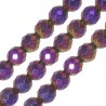 Purple Shiny