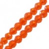 Vibrant Orange