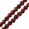 Dark Red Siam