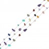 Inox/ Multicolor