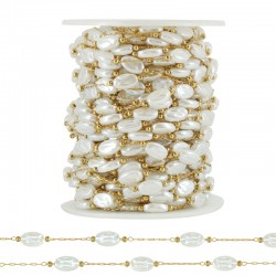 Stainless Steel 304 Chain w/ Oval Flat Pearls 6x10mm (20mtr)