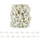 Stainless Steel 304 Chain with Shell Butterflies 10x8mm (20mtr)