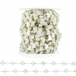 Chaîne en Acier Inoxydable 304 avec Papillons Coquillage 10 x 8 mm (20 m)