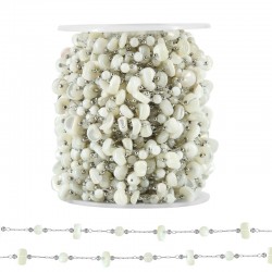 Chaîne en Acier Inoxydable 304 Argentée avec Perles Coquillage 7-8 mm (20 m)