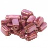 Pink/ Fuchsia